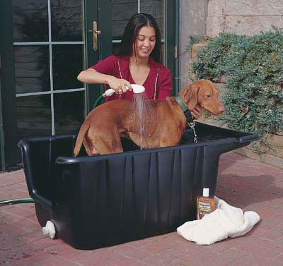 Bañar perro