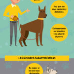 consejos-para-el-entrenamiento-de-perros-guardianes-equilibrio-entre-proteccion-y-obediencia