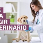 consejos-para-elegir-el-veterinario-adecuado-para-tu-mascota